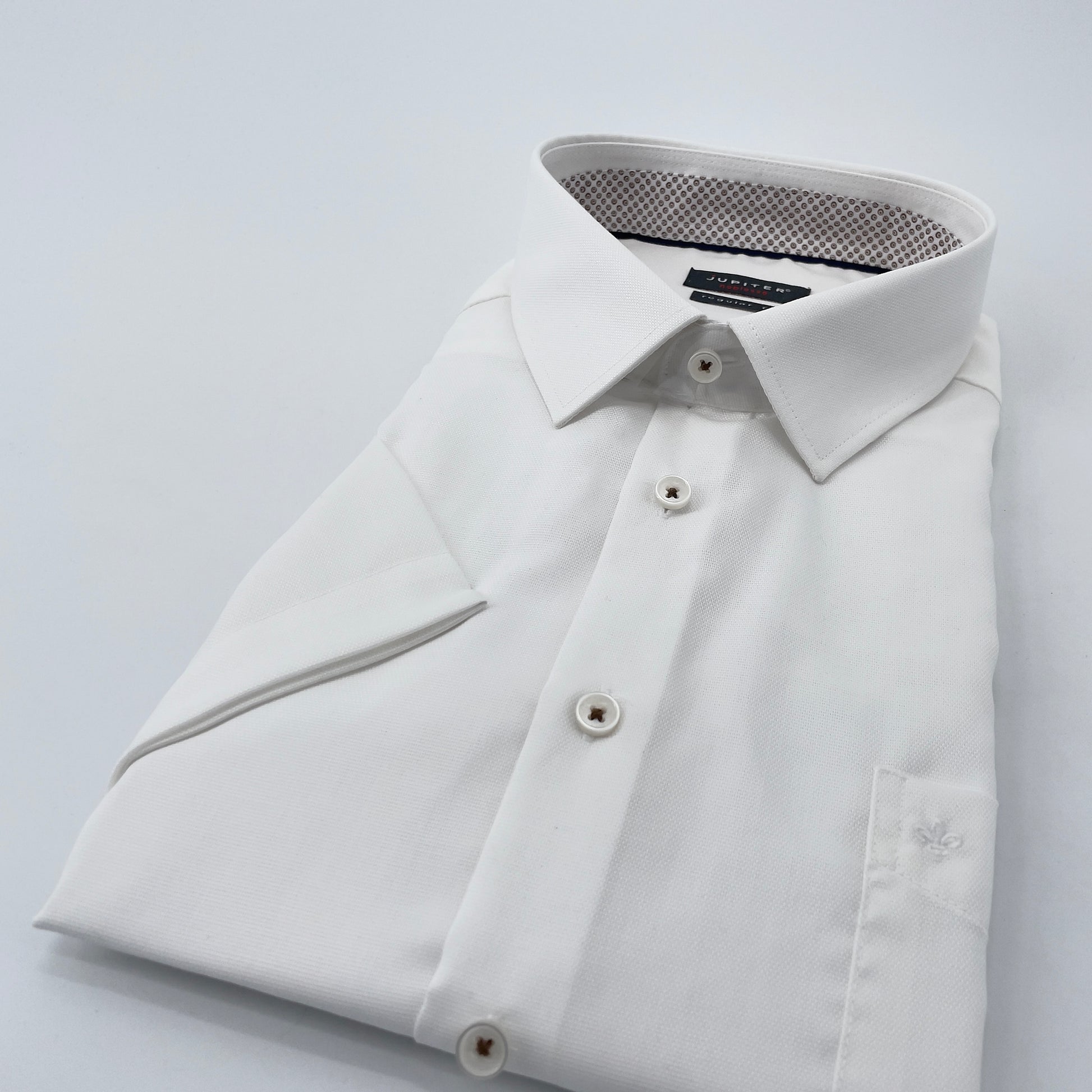 chemise courtes manches grandes tailles uni blanc